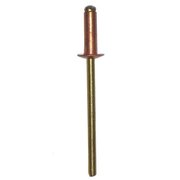 Irwin Blind Rivet, Dome Head, 0.125 in Dia., 0.40 in L, Copper Body, 1000 PK PCBD404